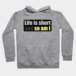 Life is Short And So Am I - Another Day Another Slay - Funny - Bumper - Funny Gift - Car - Fuck - You Hoodie